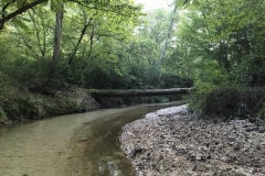 Netting Site