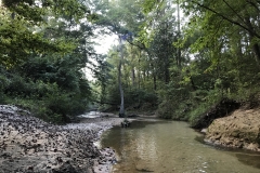 Netting Site