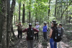 Tree Roost Visit