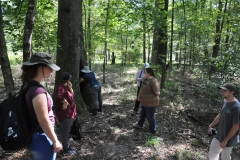 Tree Roost Visit